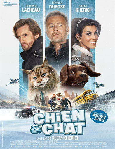 Poster de Chien et chat (Perro y gata)