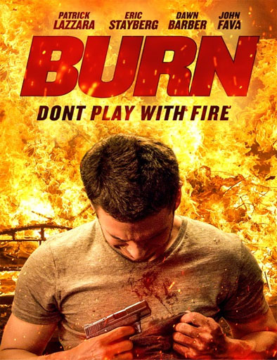 Poster de Burn