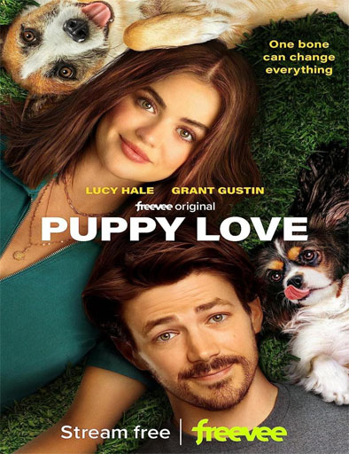 Poster de Puppy Love