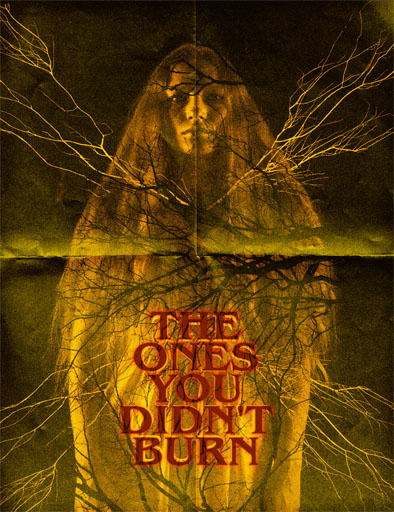 Poster de The Ones You Didn't Burn