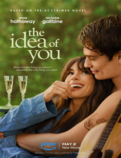 Poster de The Idea of You (La idea de ti)