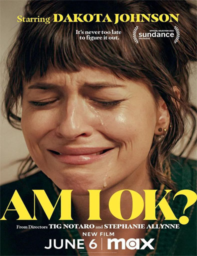 Poster de Am I OK? (¿Estoy bien?)