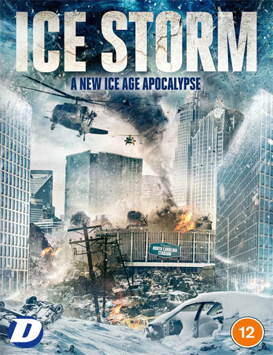 Poster de Ice Storm