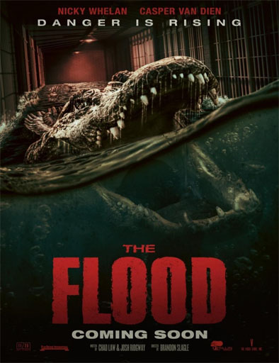 Poster de The Flood