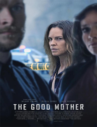 Poster de The Good Mother (Detrás de la verdad)