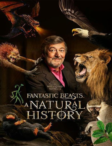 Ver Fantastic Beasts: A Natural History (Animales fantásticos: Una historia  natural) (2022) online