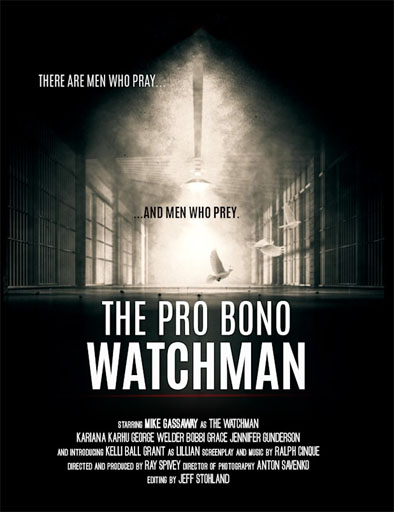 Ver The Pro Bono Watchman (2022) online